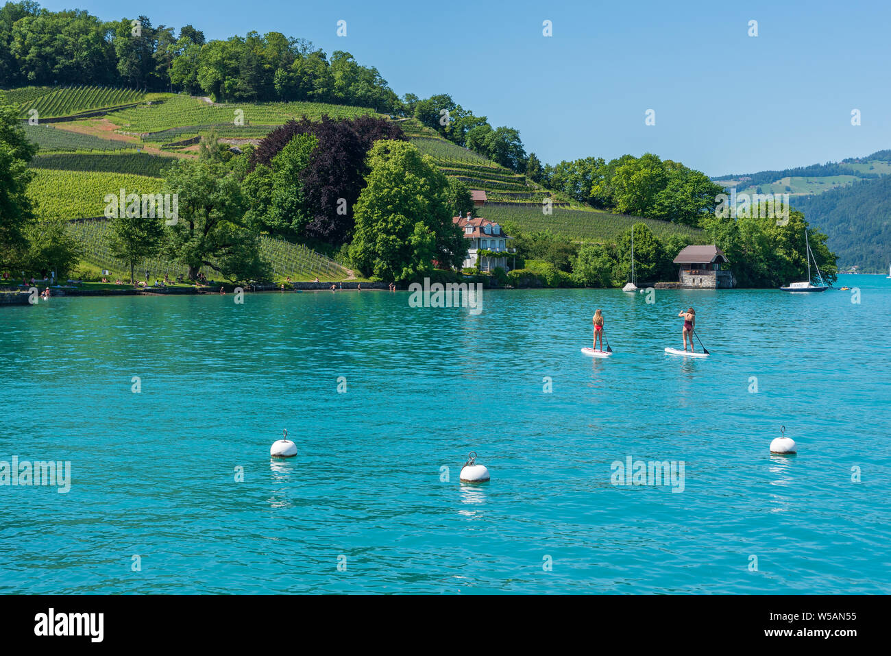 Stand-up paddling on Lake Thun, Spiez, Bernese Oberland, Switzerland, Europe Stock Photo