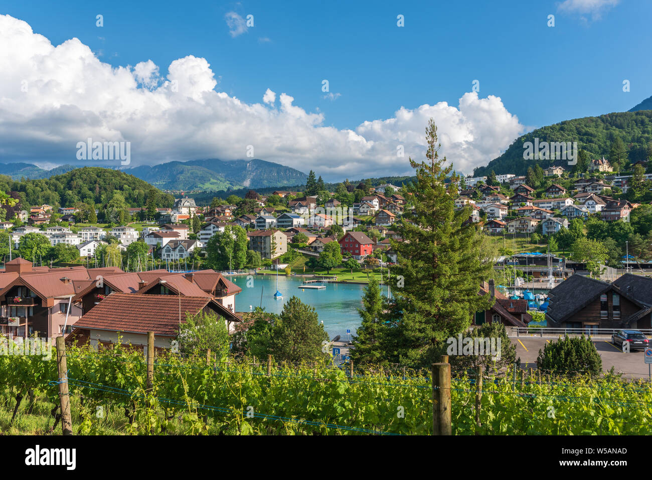 Townscape with Lake Thun, Spiez, Bernese Oberland, Switzerland, Europe