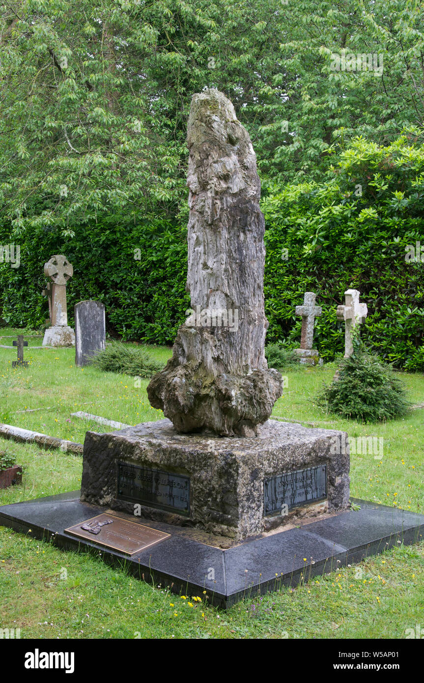 The grave of Alfred Russell Wallace in Broadstone cemetery. The headstone is made from the fossilised trunk of a prehistoric tree. Poole, Dorset, UK. Stock Photo