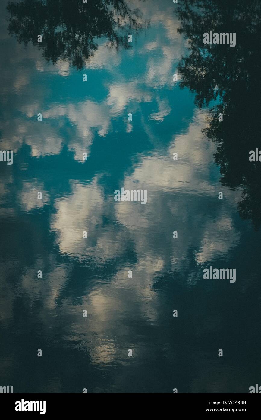 Vertical shot of water reflecting the blue sky with clouds and trees ...