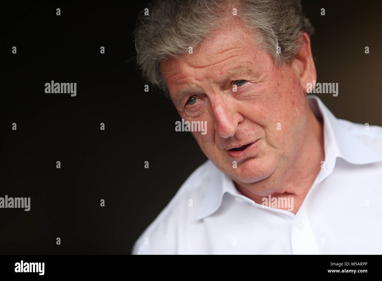 Crystal Palace manager Roy Hodgson during the pre-season friendly match at Ashton Gate, Bristol. Stock Photo
