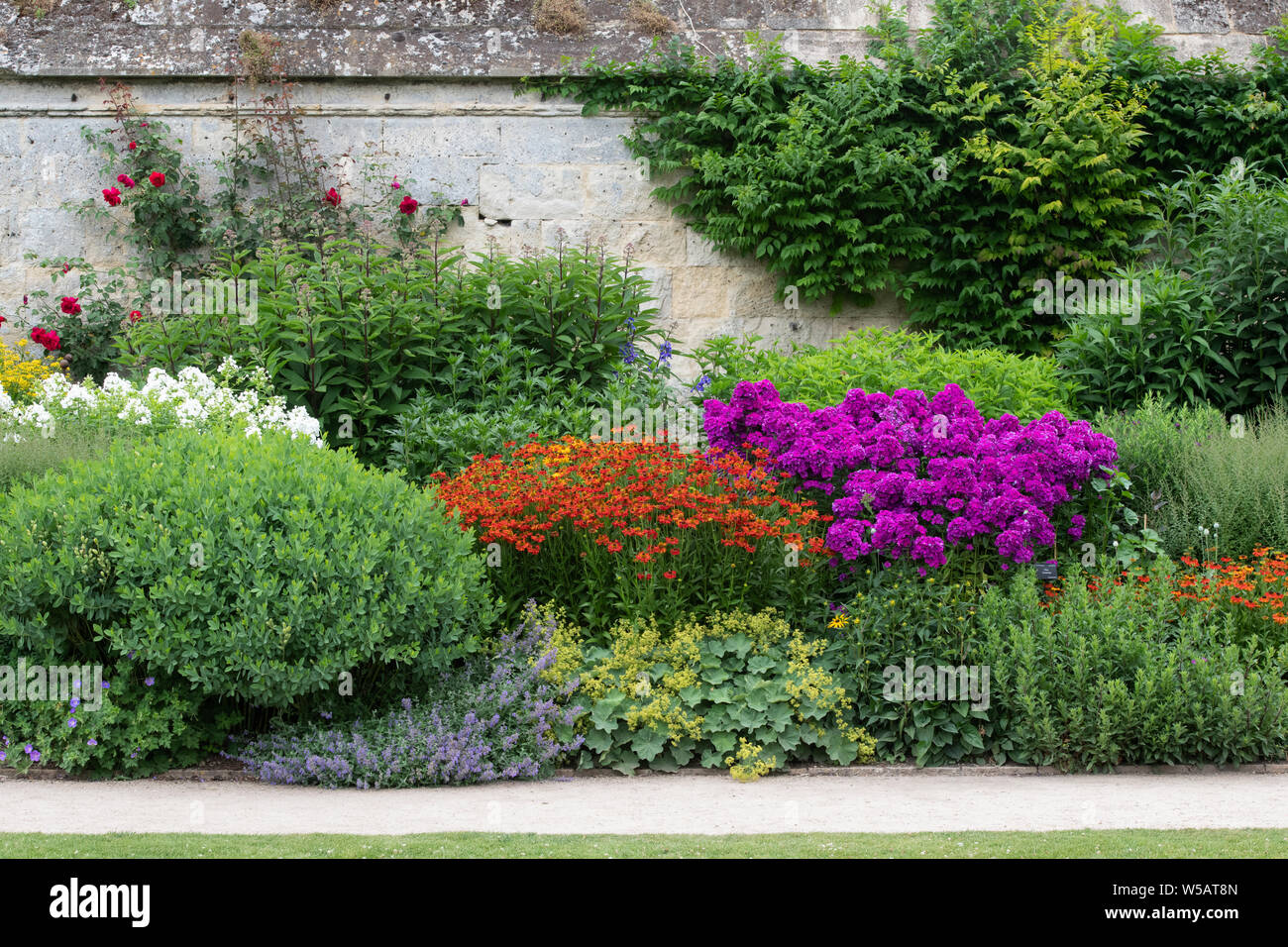 Herbaceous flower border in the summer at Oxford Botanic garden, Oxford, Oxfordshire, England Stock Photo