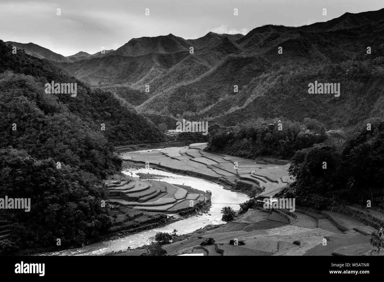 Rice terraces aerial Black and White Stock Photos & Images - Alamy