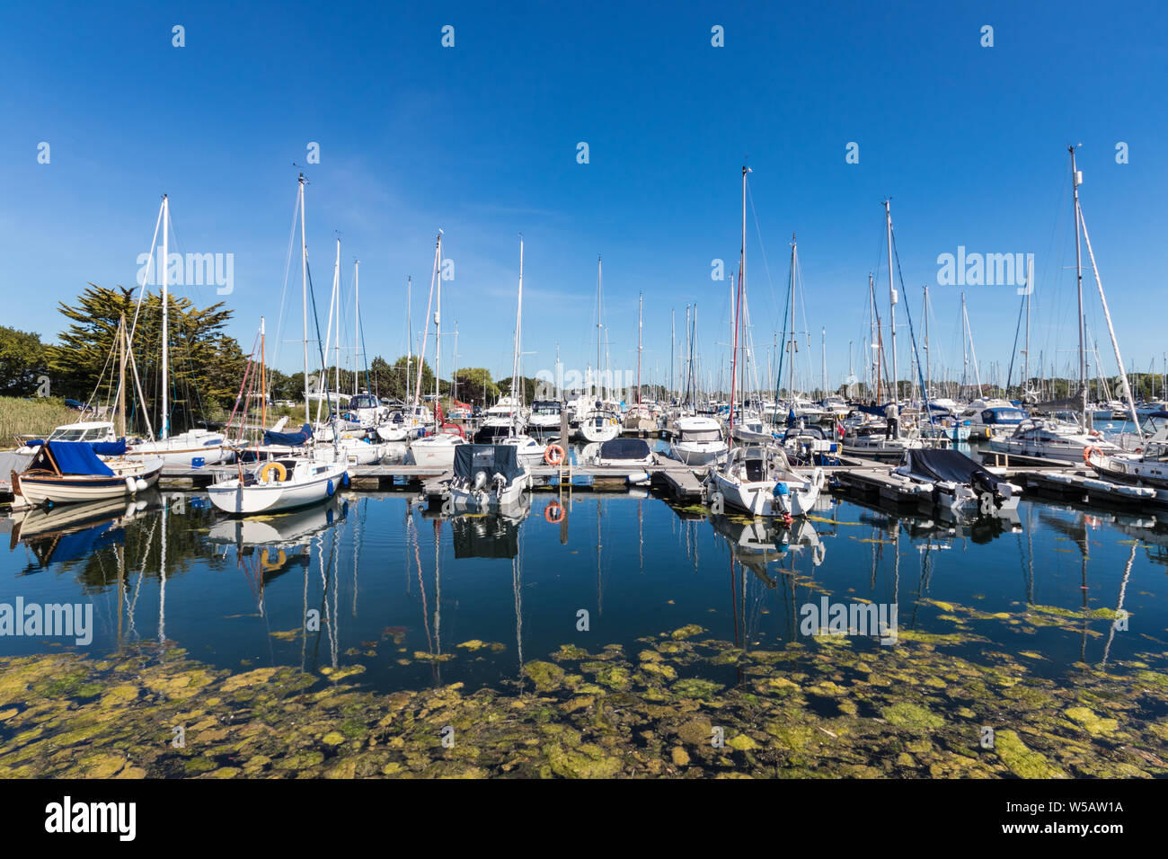 Chichester Marina, Chichester, West Sussex, UK Stock Photo Alamy