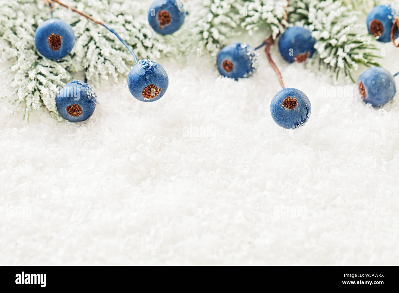 Christmas background with green fir branch, blue berries and snow close up Stock Photo
