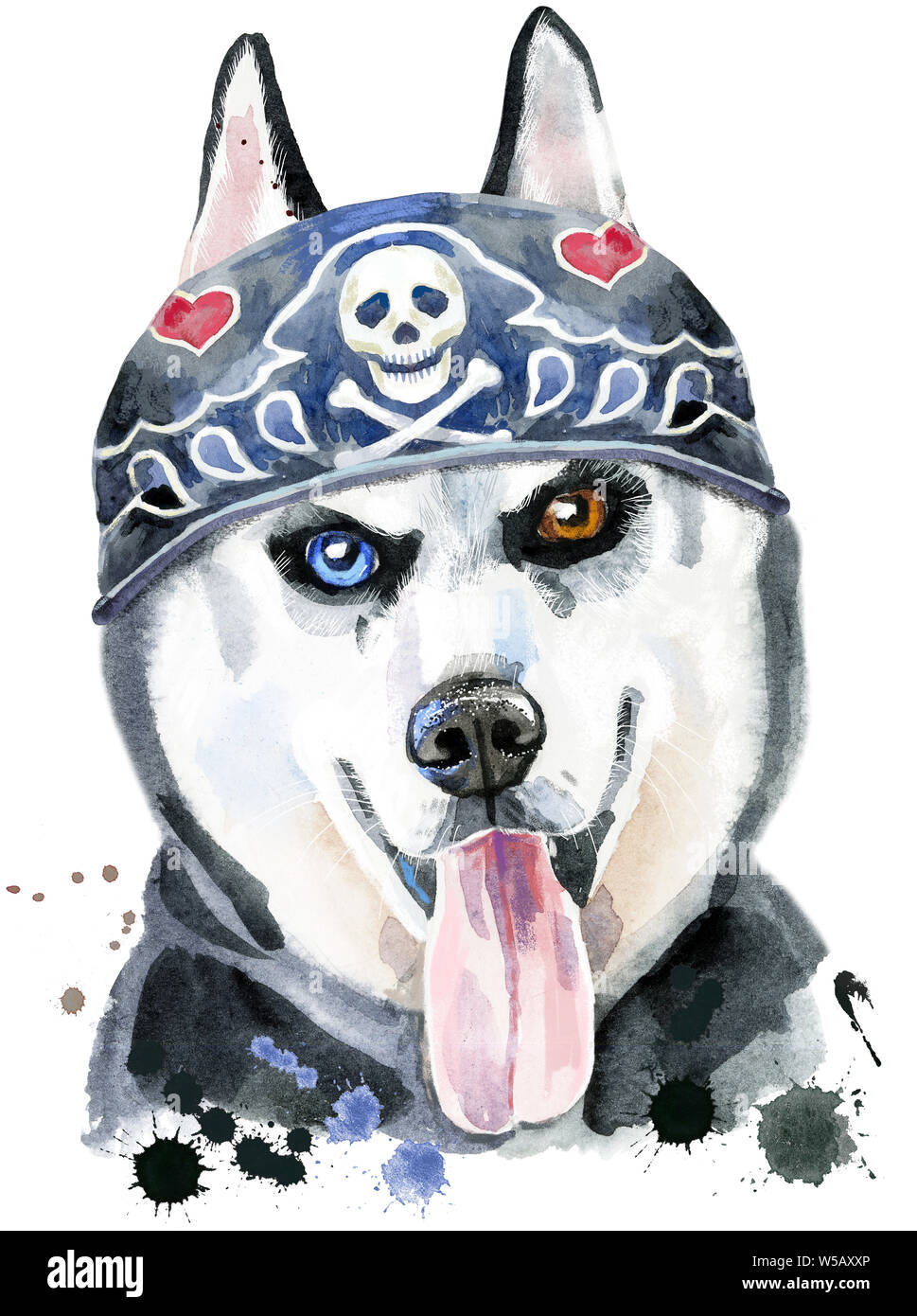 Cute Dog wearing in biker bandana. Dog T-shirt graphics. watercolor husky Stock Photo