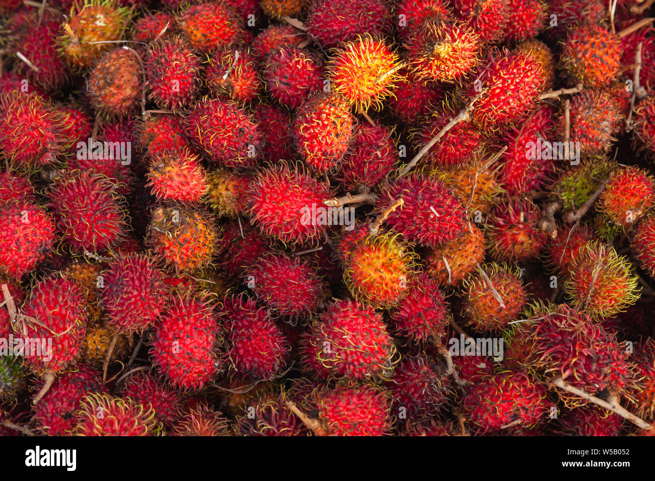 Rambutan red fruits lay on a counter of marketplace. Nephelium lappaceum is a medium-sized tropical tree in the family Sapindaceae Stock Photo