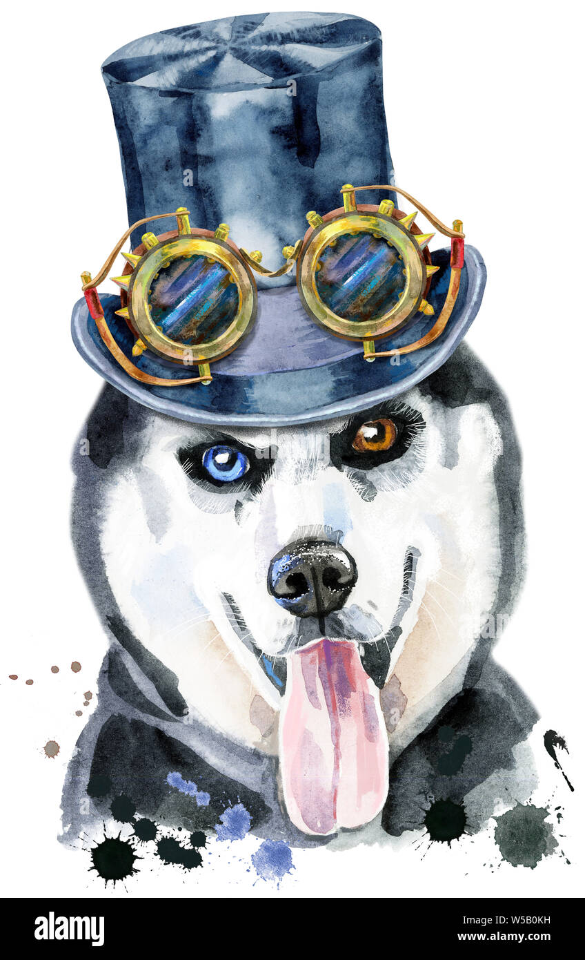 Cute Dog with black hat topper and steampunk glasses. Dog T-shirt graphics. watercolor husky Stock Photo