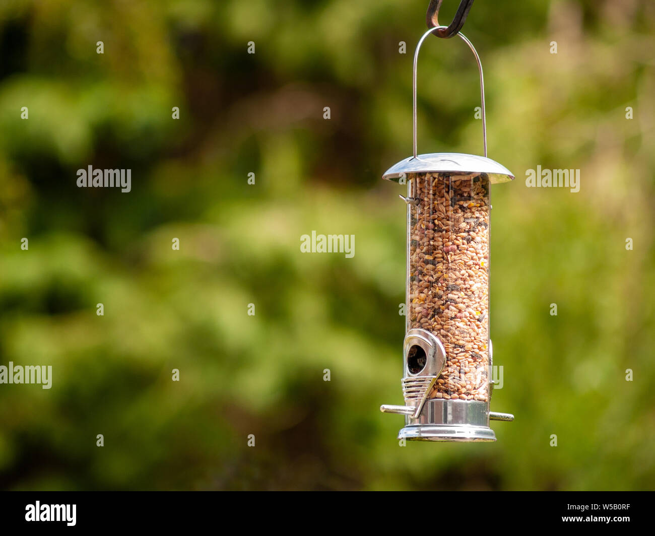 A bird feeder hanging from a hooked pole. The bird feeder is full of bird food and seed. Stock Photo