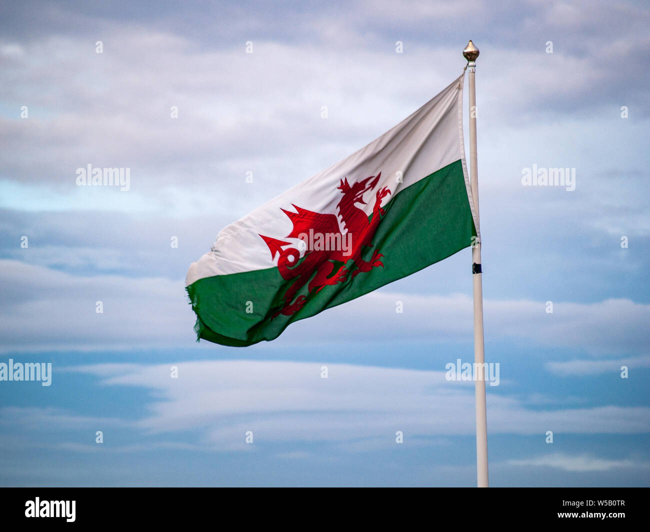 Welsh National Flag flying on flagpole in Swansea. Also known as 'Y Ddraig Goch' 'The Red Dragon'. Wales, UK. Stock Photo