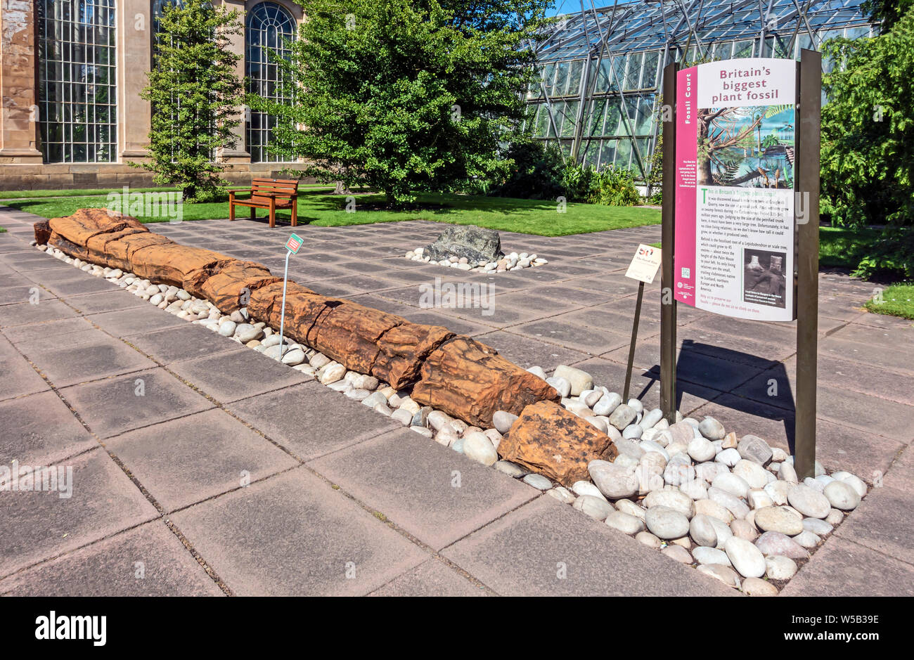 Britain's biggest plant fossil beside the Victorian Temperate Palmhouse in the Royal Botanic Garden Inverleith Row Edinburgh Scotland UK Stock Photo