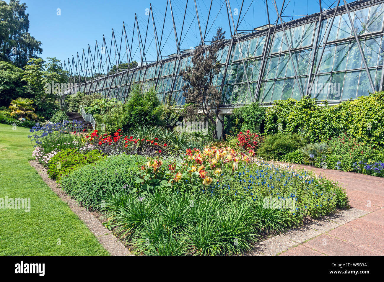 Flowers in front of the glass houses in the Royal Botanic Garden