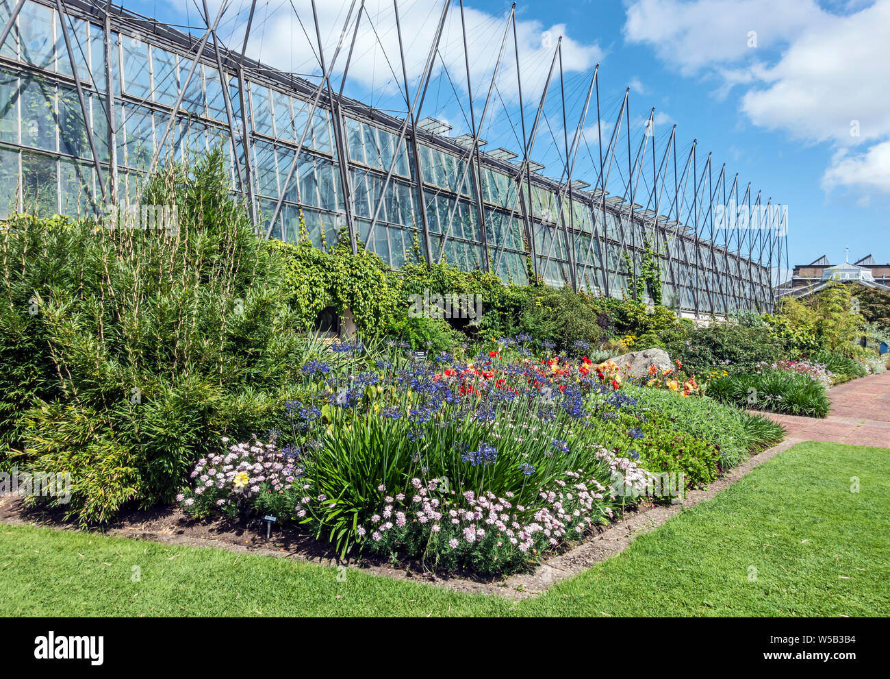 Flowers in front of the glass houses in the Royal Botanic Garden