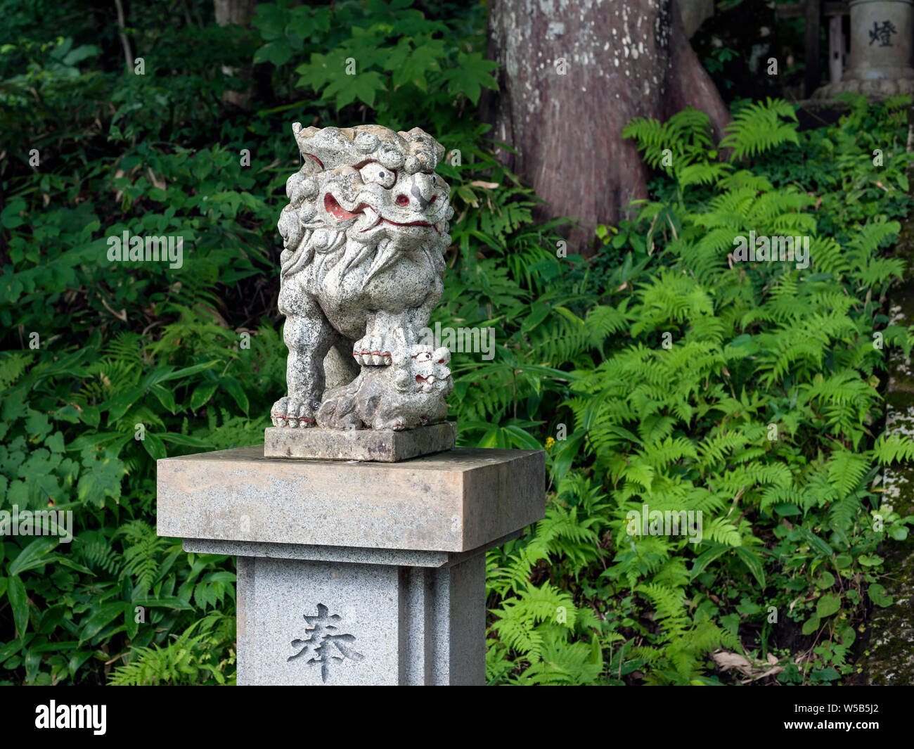 Kom Inu Korean dog hi-res stock photography and images - Alamy