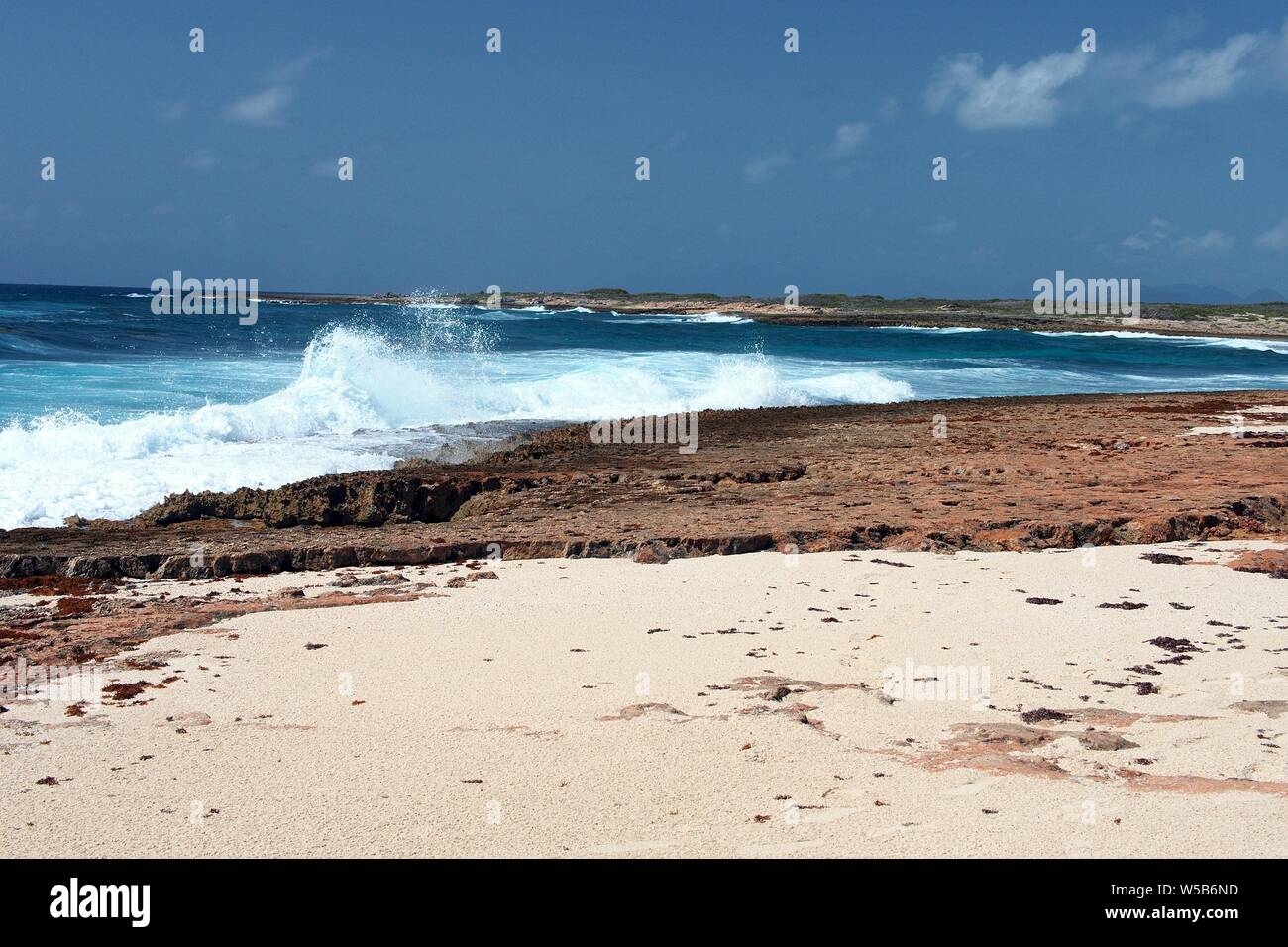 Anguila anguilla hires stock photography and images Alamy