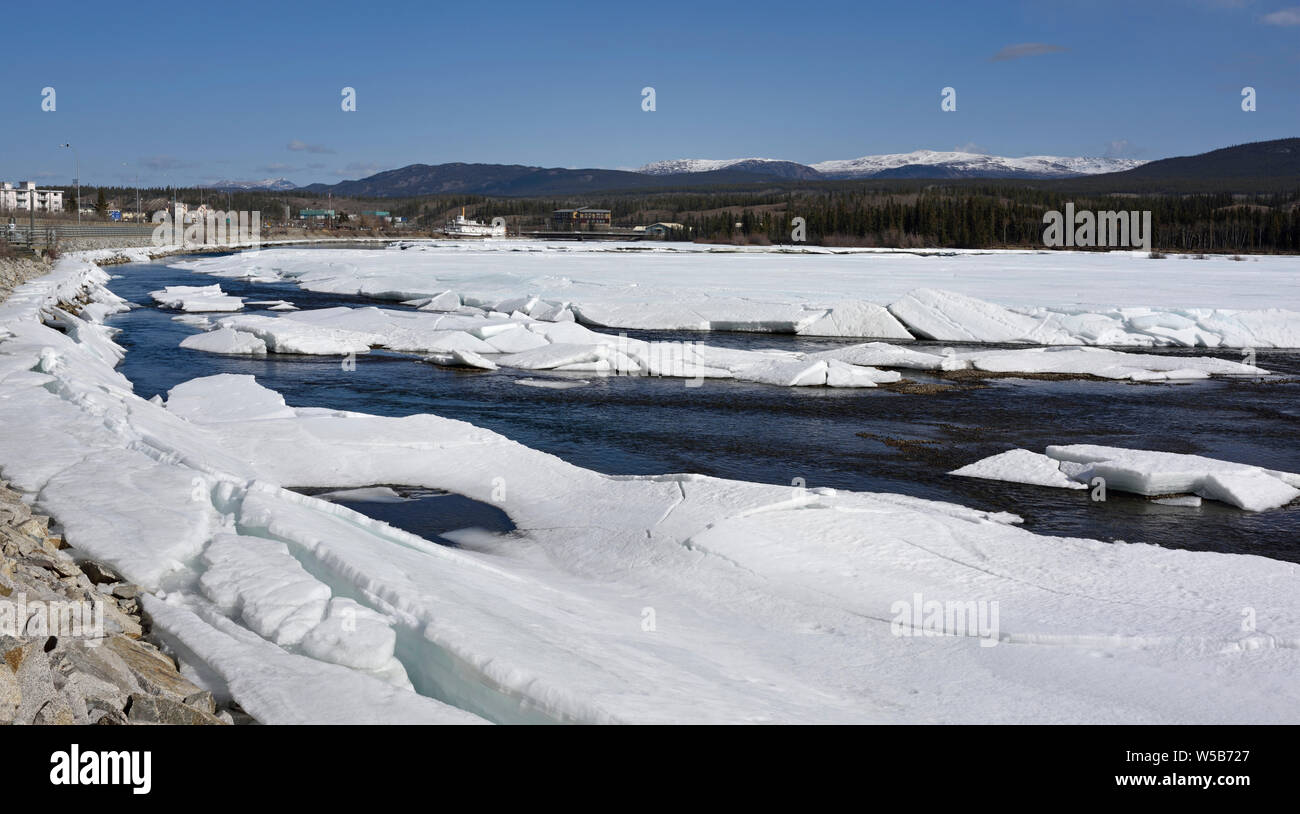 The paddleship Klondike and melting ice in the Yukon River, Whitehorse