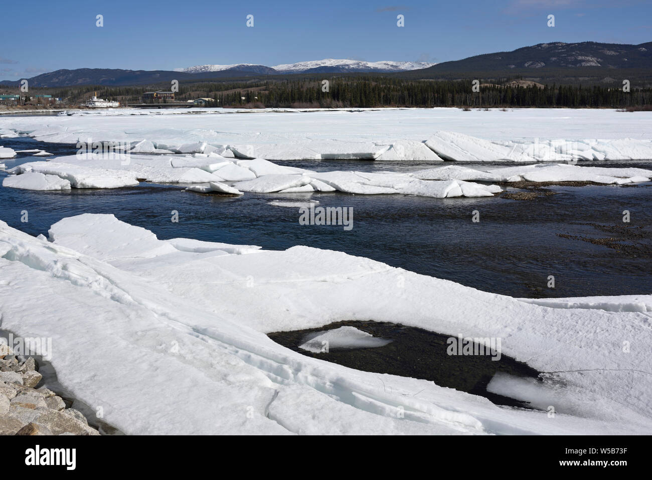 The paddleship Klondike and melting ice in the Yukon River, Whitehorse