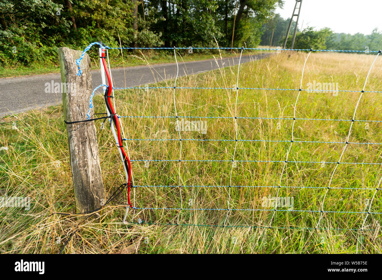 Hamminkeln Dingden, Germany. 27th July, 2019. A wire fence to protect against wolves stands at the edge of a pasture. The fence developed by the shepherd Achim Koop is partly electrically secured. The fence stands next to its pasture in the Dingden Heath, where three years ago some of its animals were torn by a wolf. The Lower Rhine region is one of three areas in North Rhine-Westphalia in which a wolf has settled. Credit: Arnulf Stoffel/dpa/Alamy Live News Stock Photo