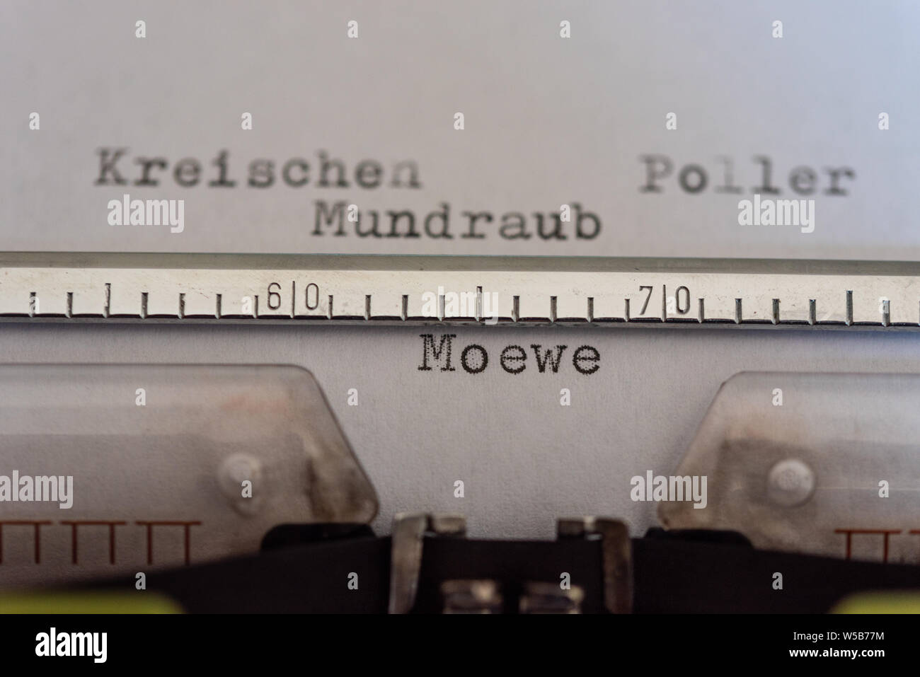 Typewriter with a leaf and the words Kreischen, Poller, Mundraub und Moewe (Screech, Bollard, Mouth Robbery and Moewe ) Stock Photo