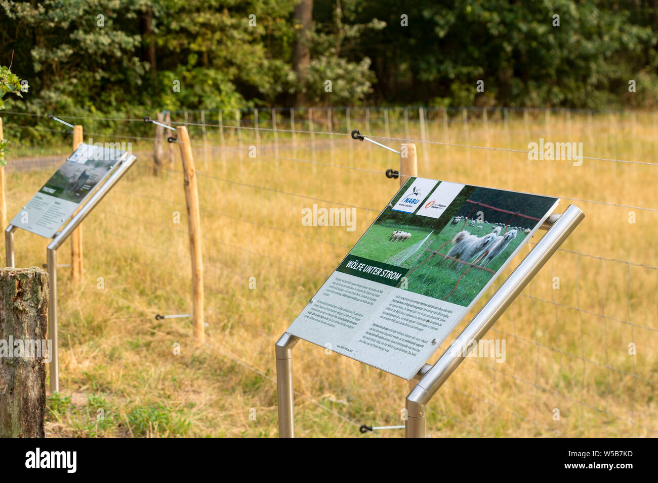 27 July 2019, North Rhine-Westphalia, Hamminkeln-Dingden: A sign of the NABU (Nature Conservation Union) stands at a wire fence, which is supposed to protect against wolves, at the edge of a pasture. The fence developed by the shepherd Achim Koop is partly electrically secured. The fence stands next to its pasture in the Dingden Heath, where three years ago some of its animals were torn by a wolf. The Lower Rhine region is one of three areas in North Rhine-Westphalia in which a wolf has settled. Photo: Arnulf Stoffel/dpa Stock Photo