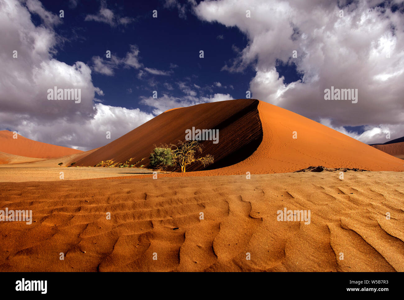 the namib desert Stock Photo - Alamy