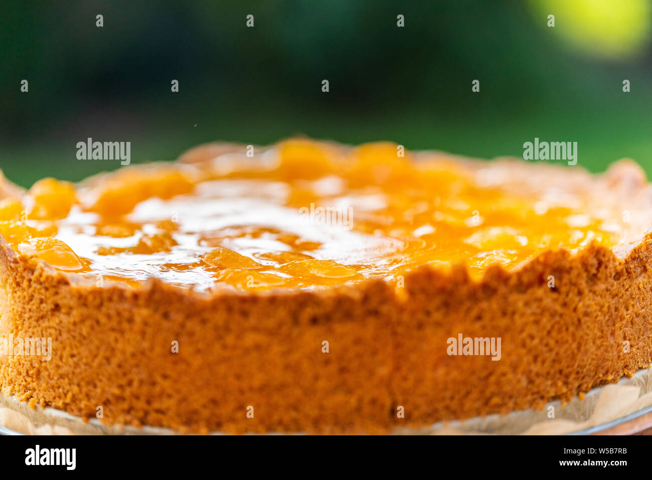 a homemade sour cream mandarin cake Stock Photo