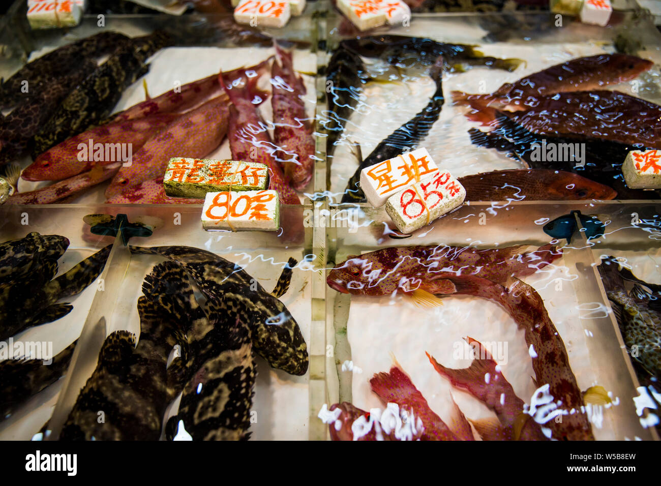Live fish at a fishmonger stall inside Fa Yuen market. Hong Kong Stock Photo