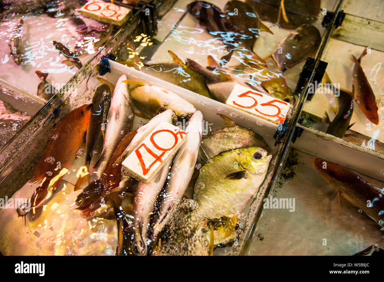 Live fish at a fishmonger stall inside Fa Yuen market. Hong Kong Stock Photo
