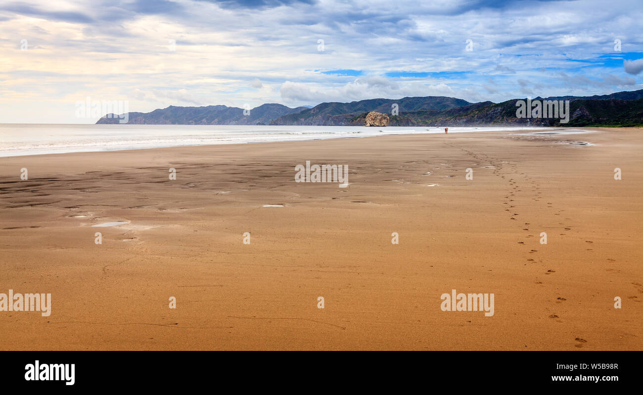 Sand beach in Santa Rosa National Park on the Pacific coast of Costa