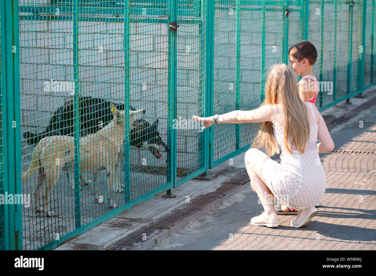 A young family is looking for a pet in a dog shelter Stock Photo Alamy