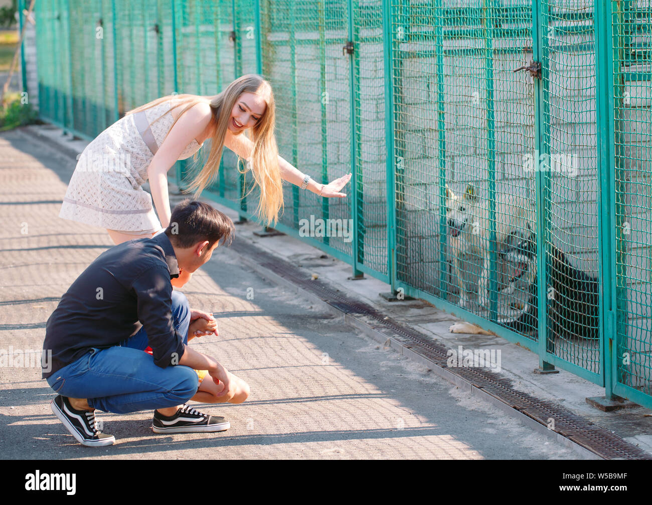 A young family is looking for a pet in a dog shelter Stock Photo Alamy