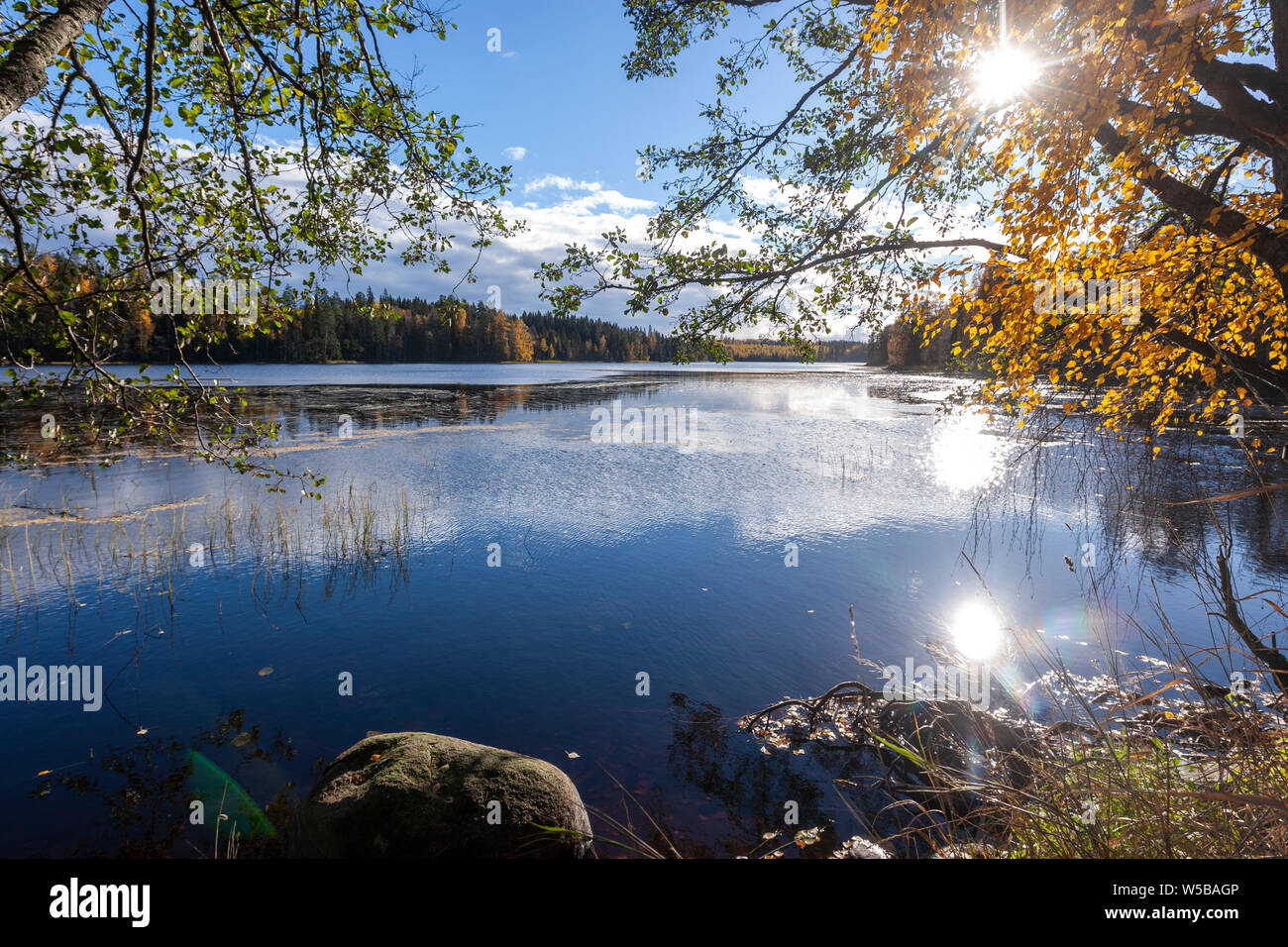 Autumn trees in Hurus lake, Finnish Lakeland, Järvi-Suomi, Finland Stock Photo