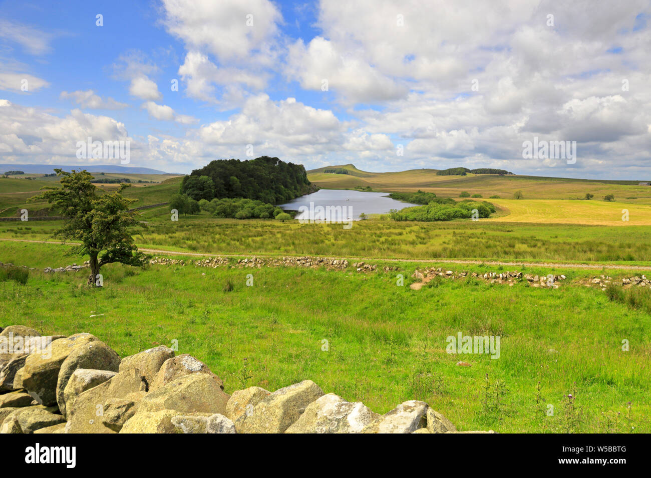 Hadrian's Wall above Crag Lough to Steel Rigg, UNESCO World Heritage Site, Hadrian's Wall path, near Hexham, Northumberland National Park, England. Stock Photo