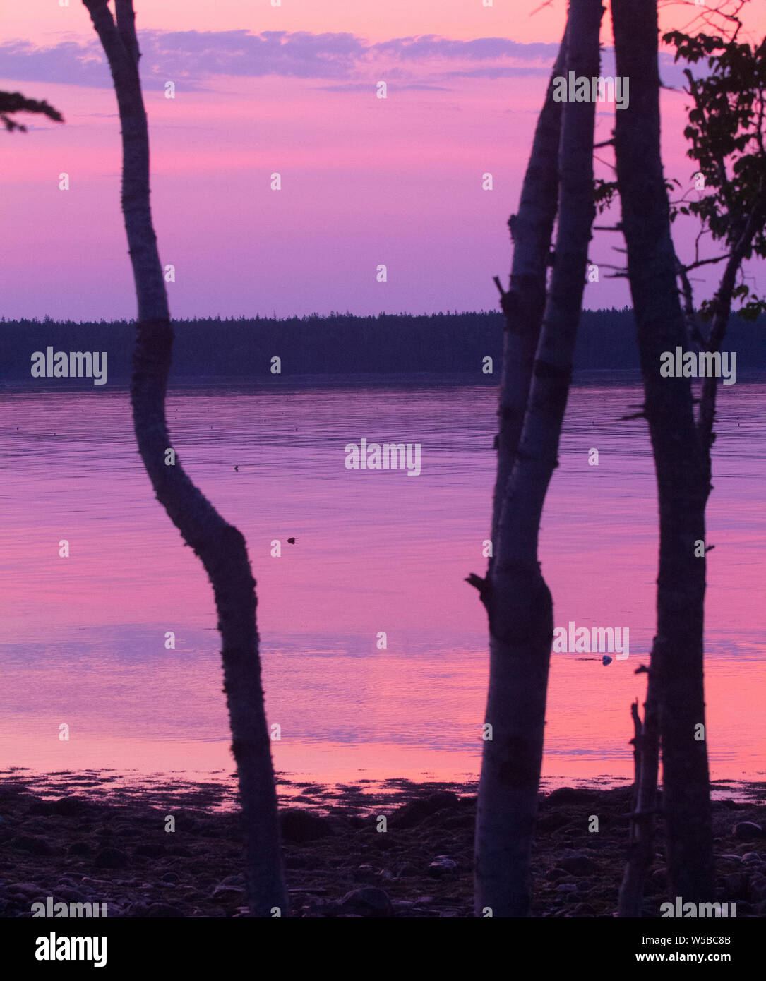 Sunrise, Gouldsboro Bay, Maine Stock Photo Alamy