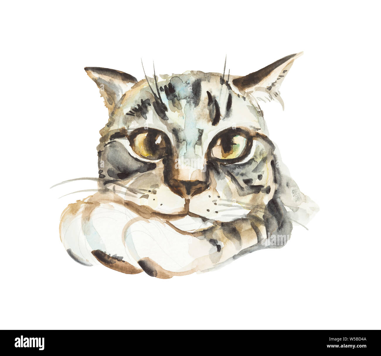 Portrait of cute cat isolated on white background. Watercolor hand ...