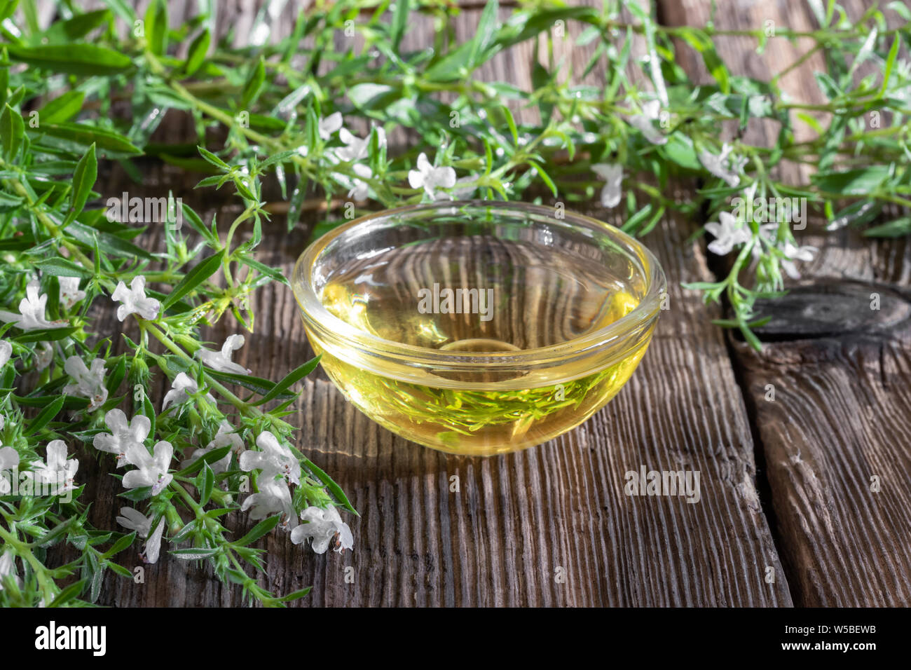 A bowl of mountain savory essential oil with blooming Satureja montana plant Stock Photo