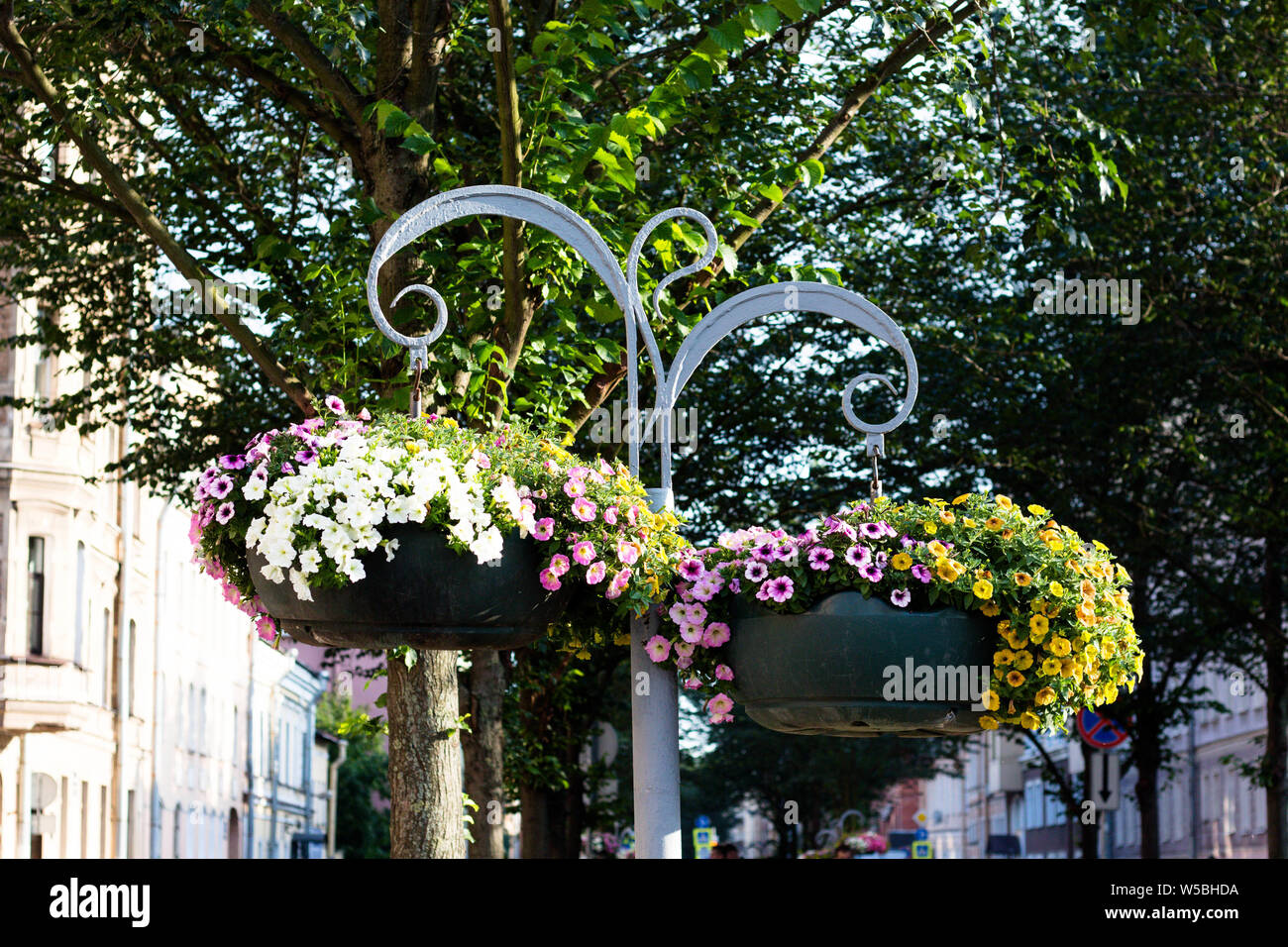 Beautiful flowers on the poles in the form of pots. Beautiful decorations of the streets of the city. Stock Photo
