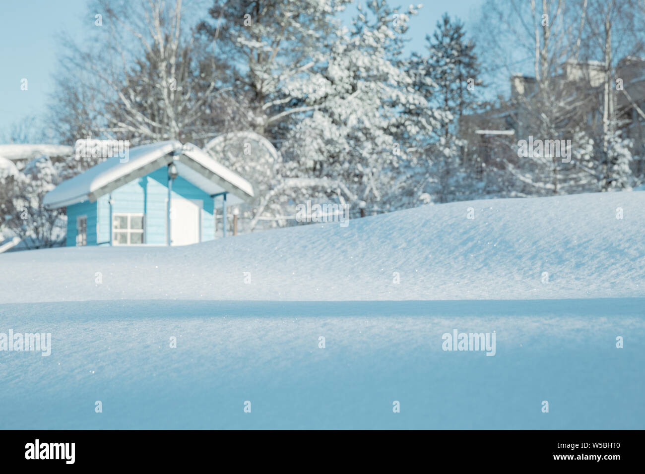 Winter landscape toned in blue. Drifts of snow sparkling in the sun against a blurred background of a small house and trees covered with snow. Shallow Stock Photo