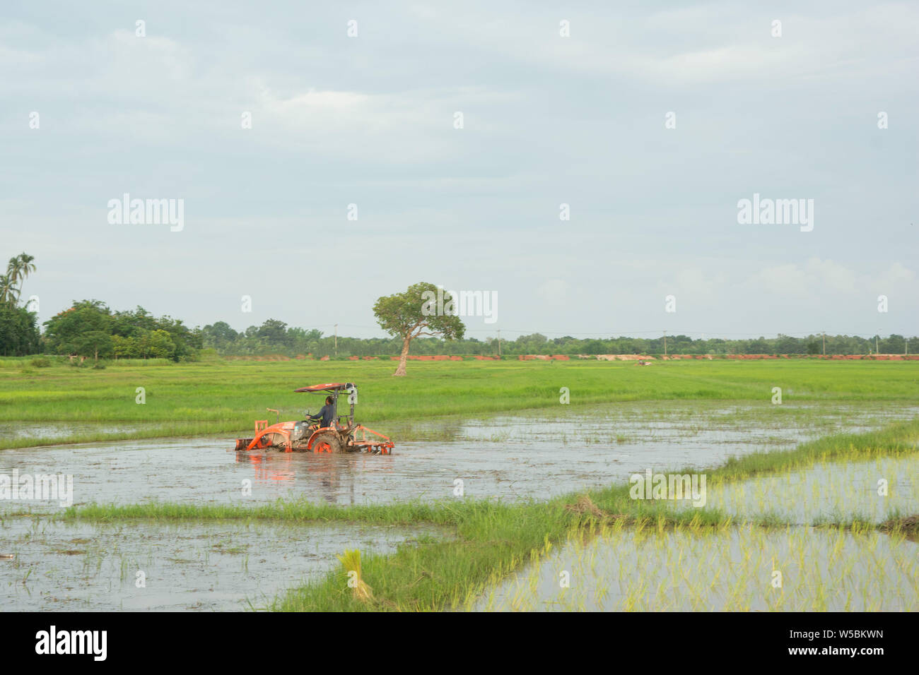 Tractor working plows a field on the farm for planting Stock Photo - Alamy