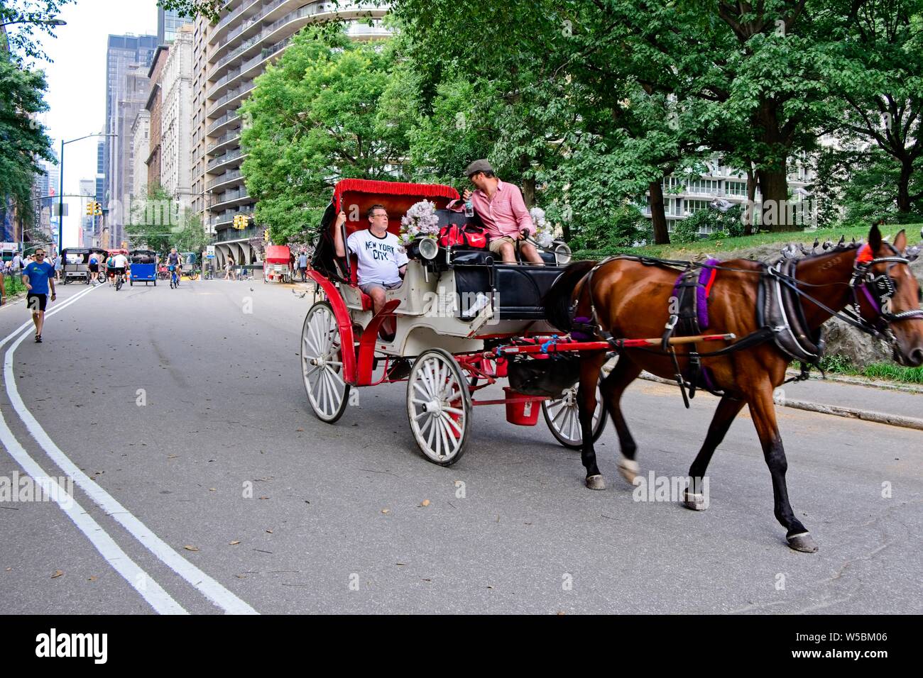 Central Park NYC carriages and pedicabs Stock Photo