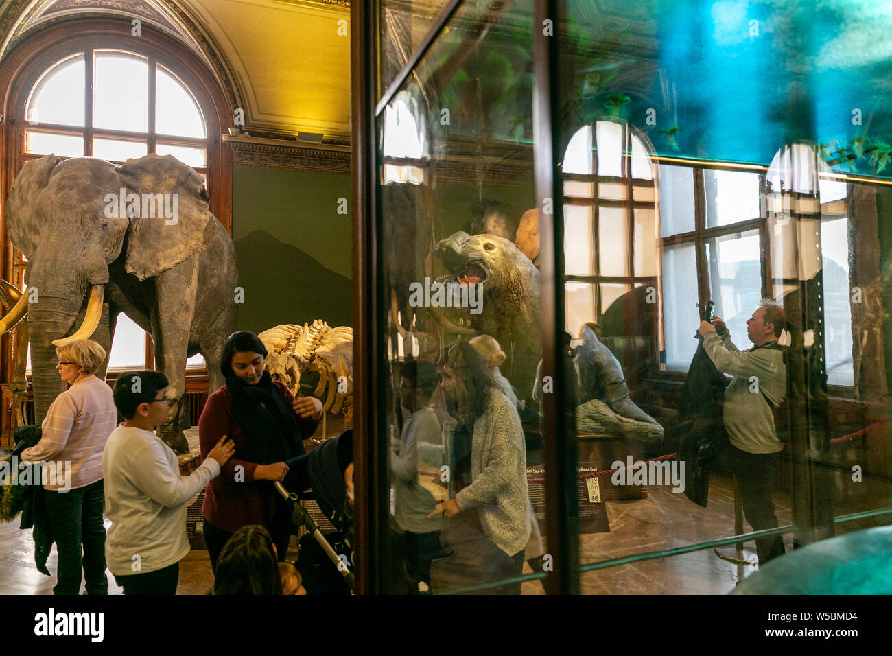 Interior view of The Natural History Museum Vienna which is a large and the most important natural history museums worldwide located in Vienna,Austria Stock Photo