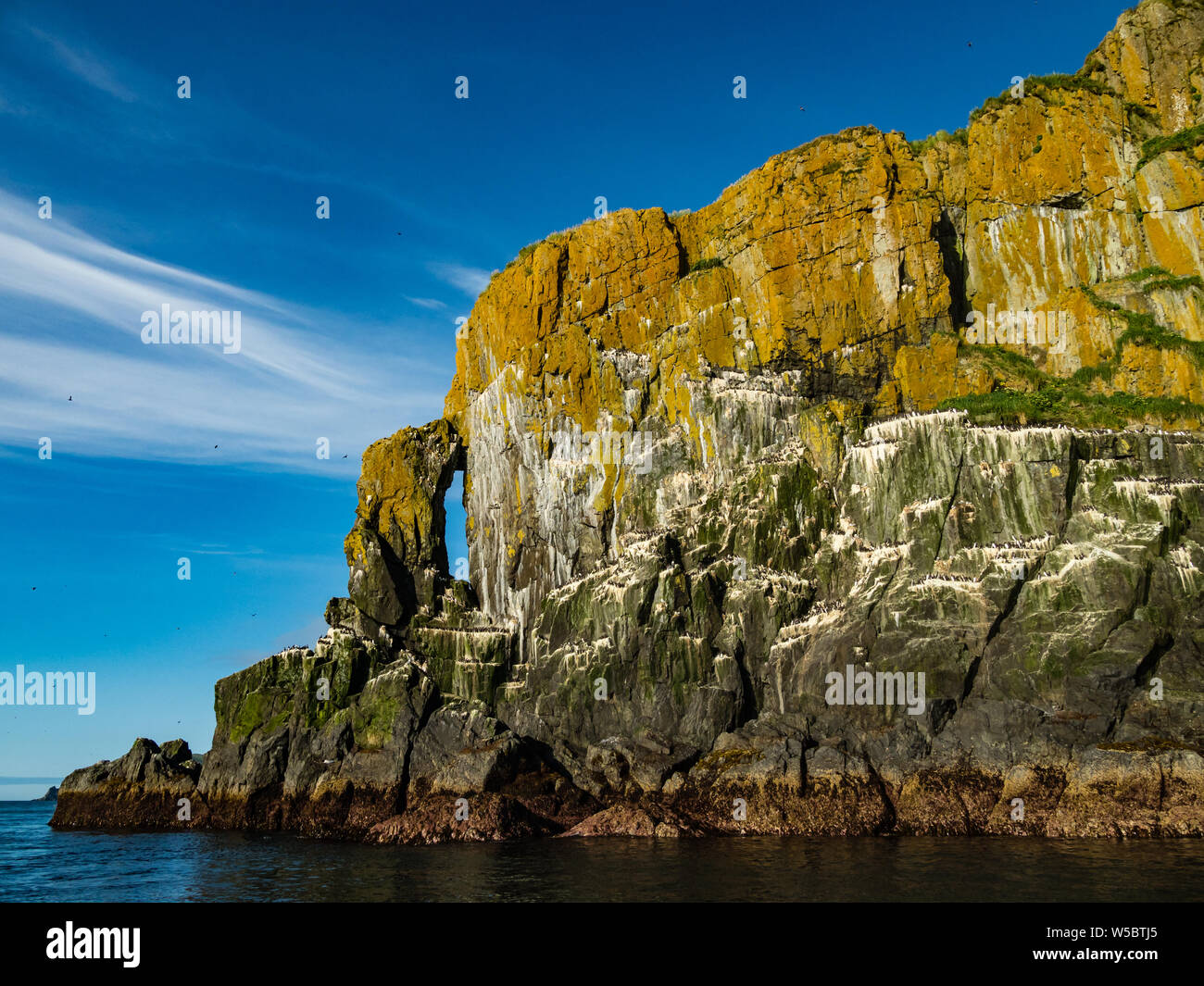 The stunning seabird nesting cliffs of Aghik Island in the Semidi island wilderness reserve off of the Alaska Peninsula Stock Photo
