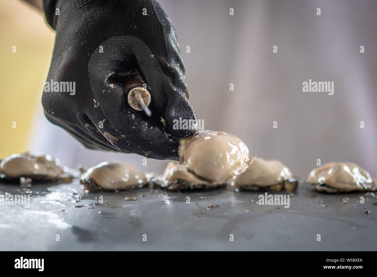 US National Oyster Festival in St. Mary's County MD Stock Photo Alamy