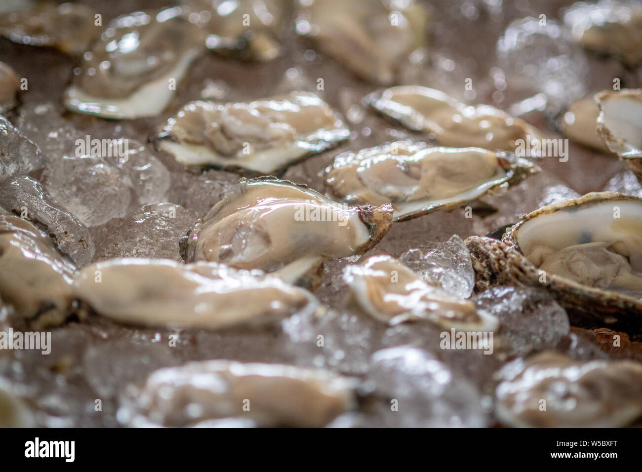 US National Oyster Festival in St. Mary's County MD Stock Photo Alamy