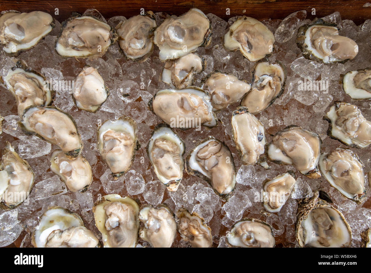 US National Oyster Festival in St. Mary's County MD Stock Photo Alamy