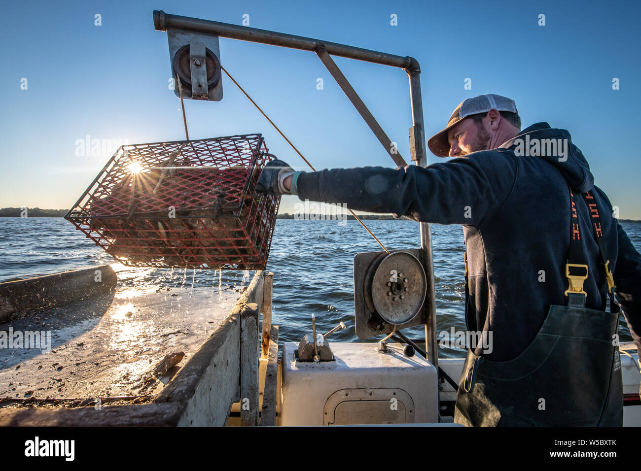 An oyster fisherman uses a crane to lift up a crate of harvested wild
