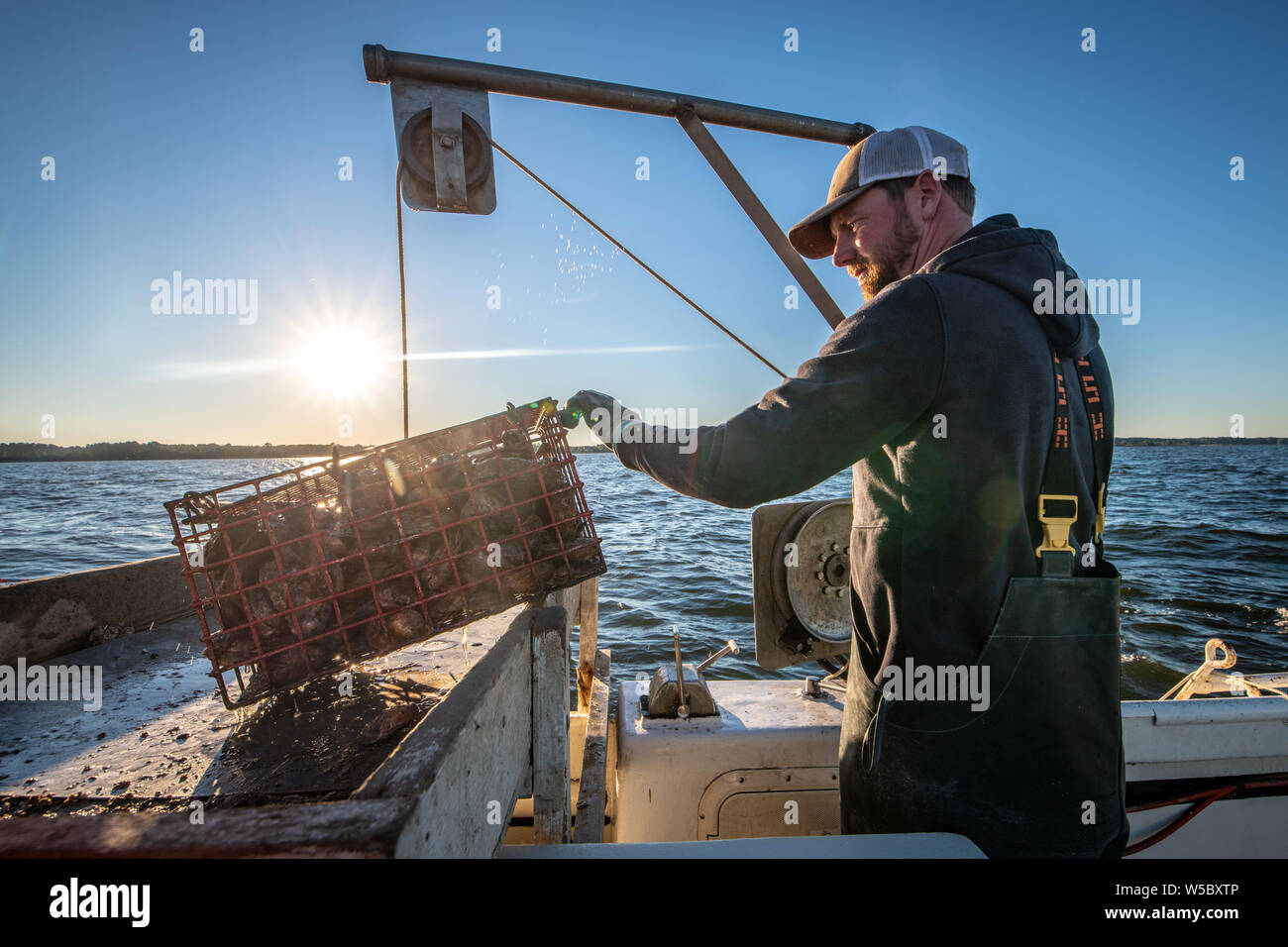 An oyster fisherman uses a crane to lift up a crate of harvested wild