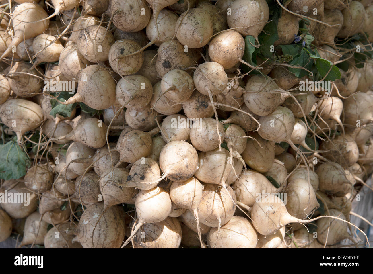 Turnips for sale on the street in Ho Chi Minh City (Saigon) Vietnam