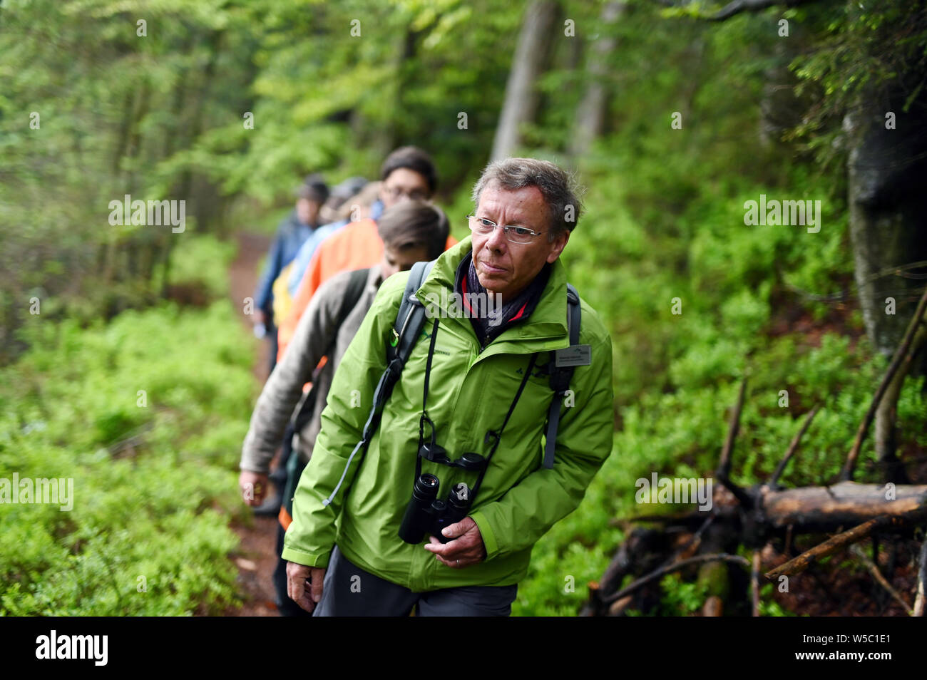 Seebach, Germany. 28th May, 2019. Meinrad Heinrich, volunteer ranger in the Black Forest National Park, leads a hiking group through the Black Forest near Ruhestein. Around 30 volunteer rangers support the national park team as landscape guardians. (to dpa 'Ranger Heinrich - Guardian and Explainer in the Wild Black Forest') Credit: Uli Deck/dpa/Alamy Live News Stock Photo