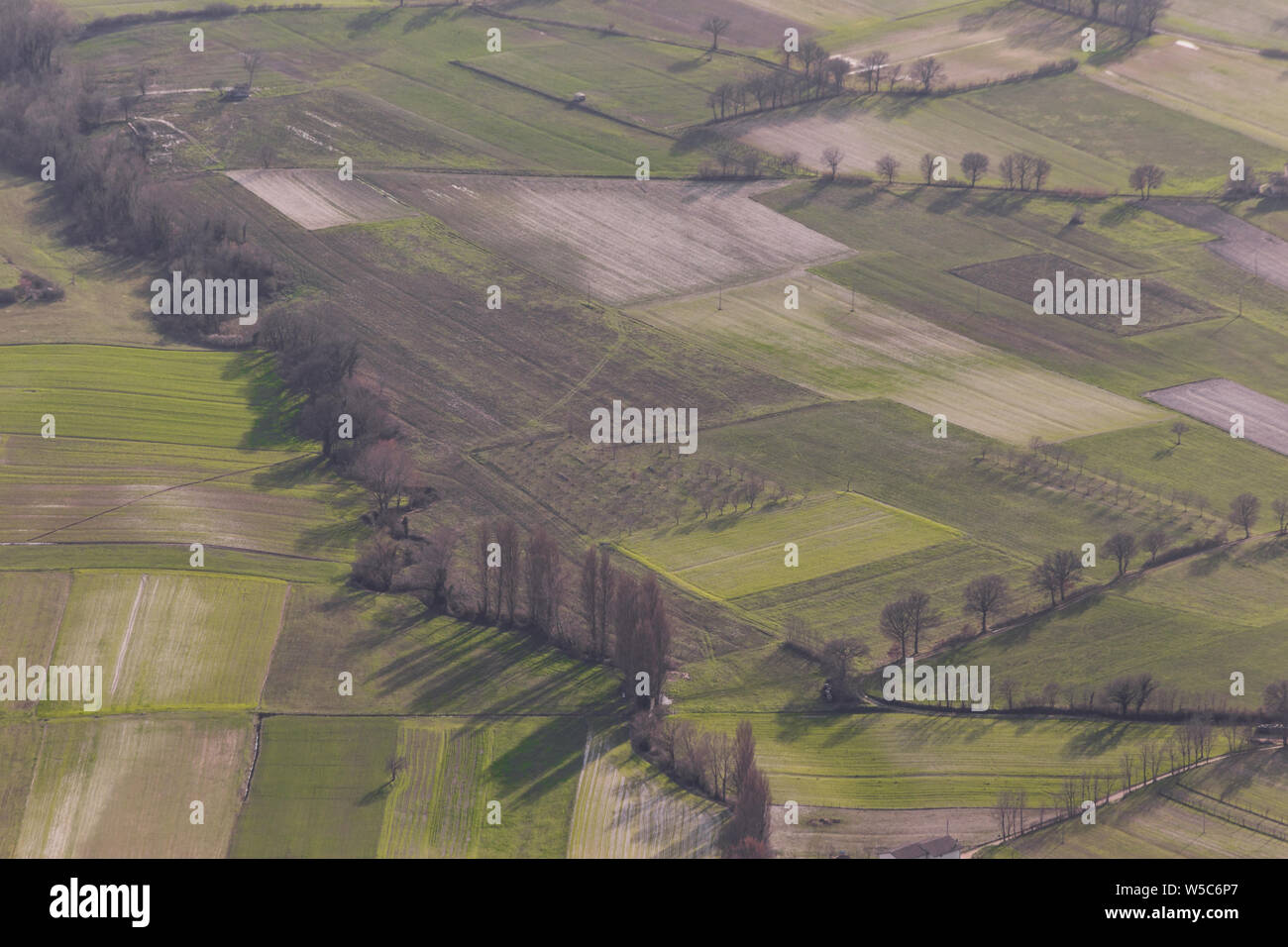 Aerial view of green meadows and trees with their shadows Stock Photo ...